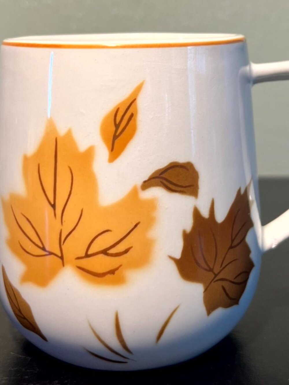 Rare 1985 Mikasa Windswept Mug Cup 7008 Japan Autumn Leaves 12oz Coffee Tea Fall